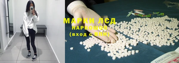 мяу мяу мука Иннополис