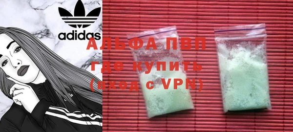 стаф Шали