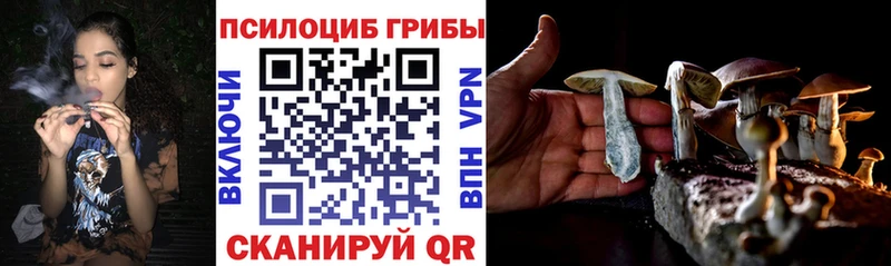 Псилоцибиновые грибы прущие грибы  Купить  Сертолово 